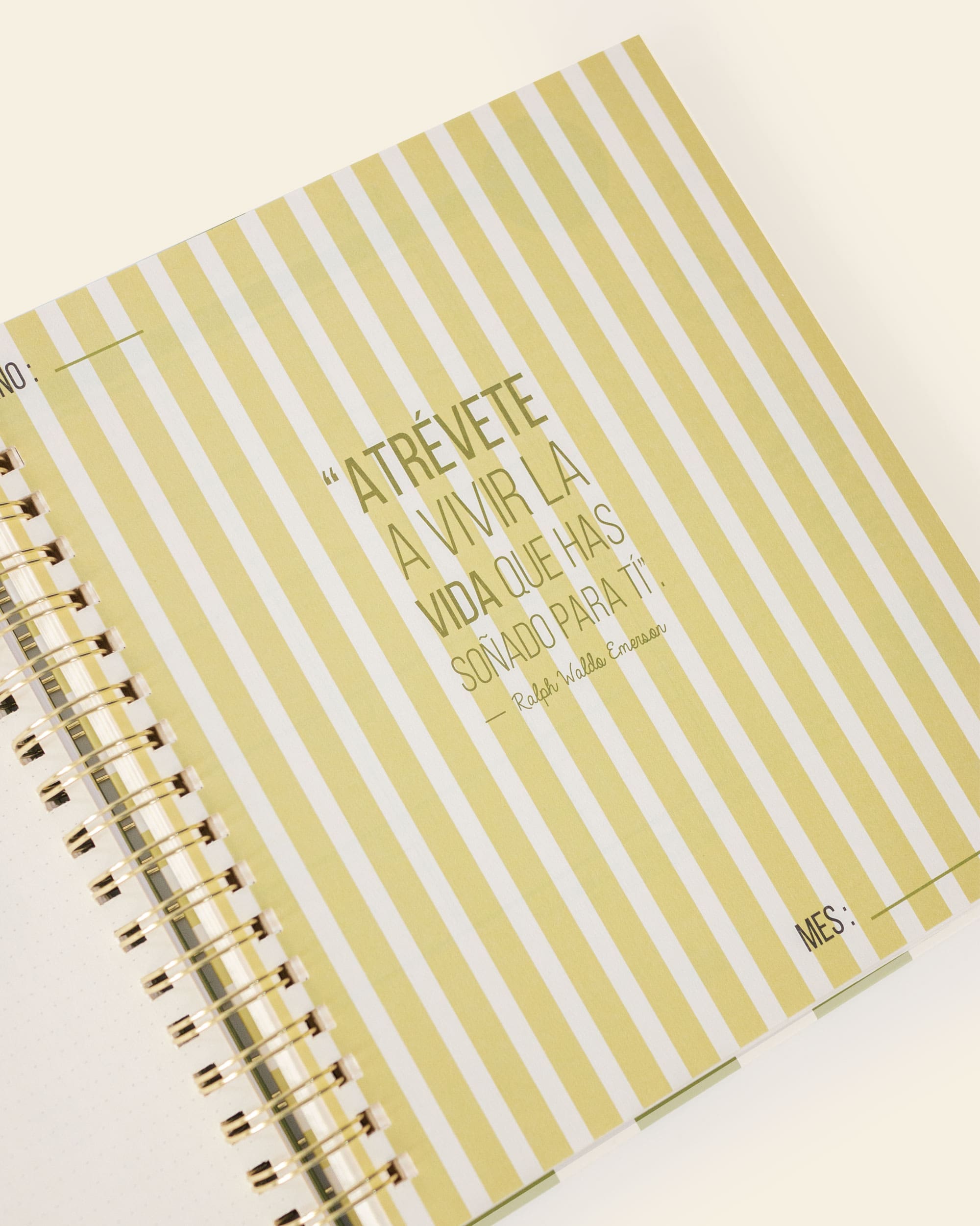 The Full Planner Undated – Edición Especial